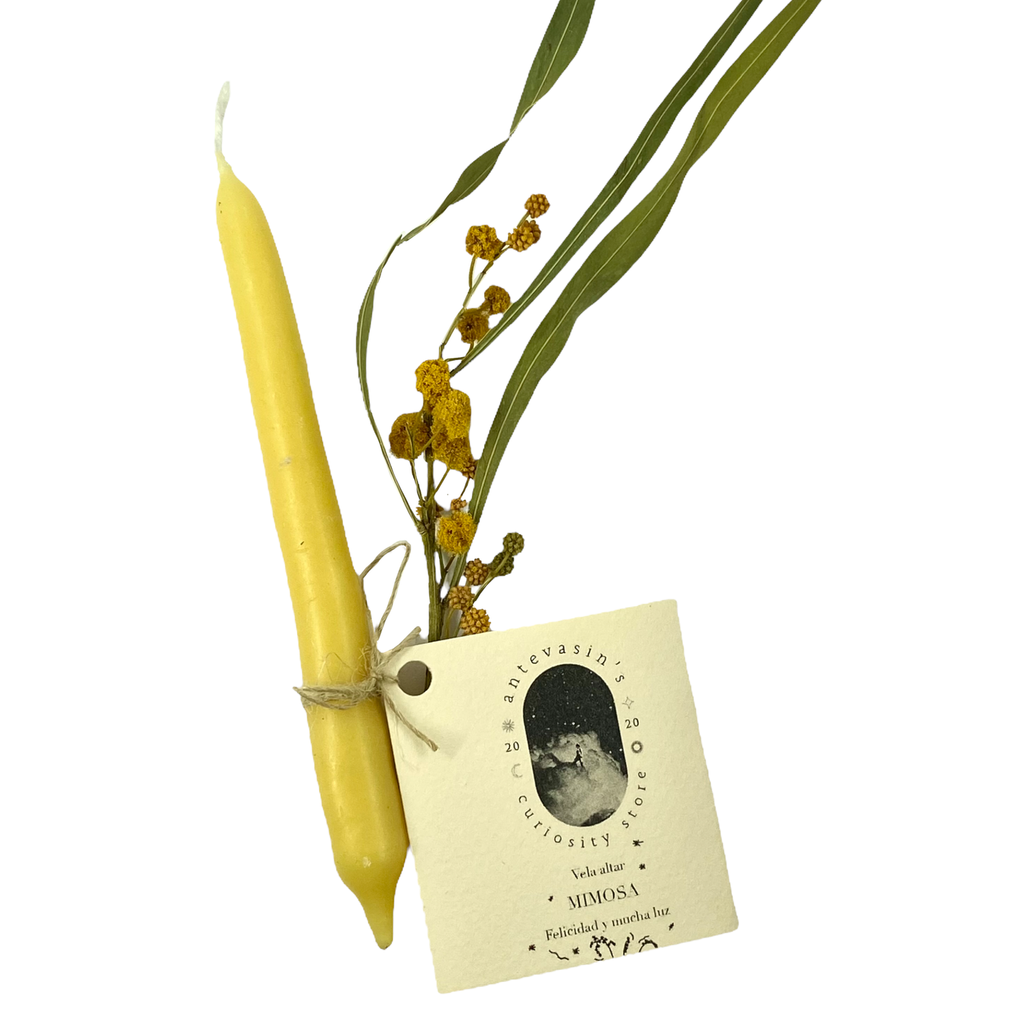 MIMOSA yellow Ritual Candle (happiness and joy)