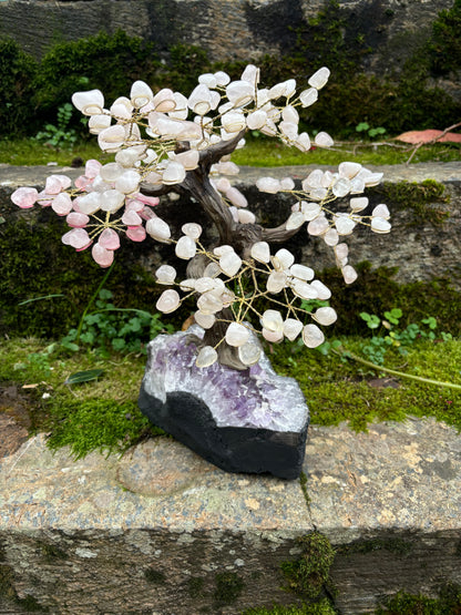 Big Yggdrasil Tree of Life Rosequarz Tree with Amethyst Base