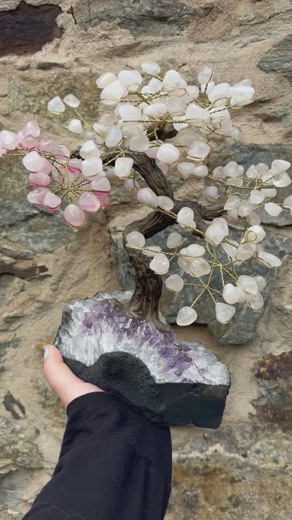 Big Yggdrasil Tree of Life Rosequarz Tree with Amethyst Base