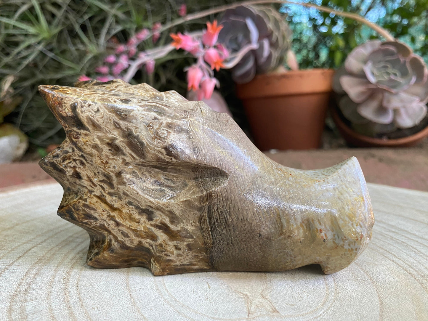 Dragon Head - Palmroot - Grounding, Transformation and fearless